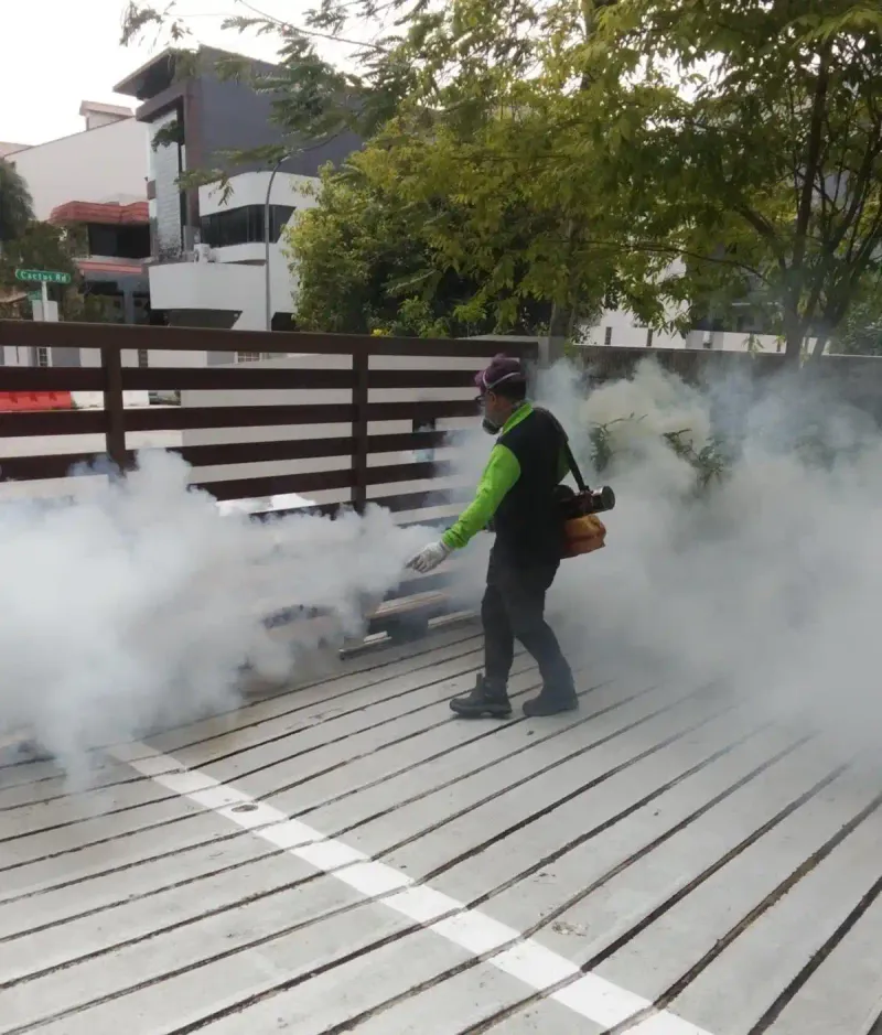 Mosquitoes Inspection & Treatment